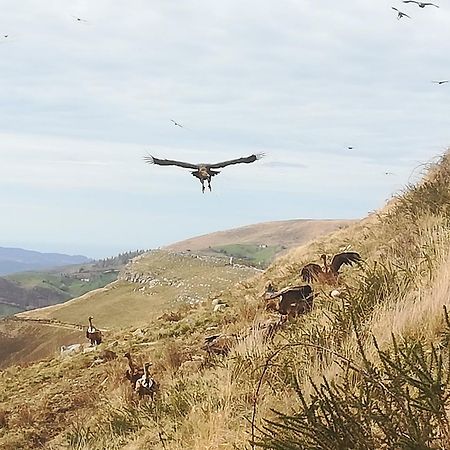 La Pasiega San Roque de Ríomiera Dış mekan fotoğraf