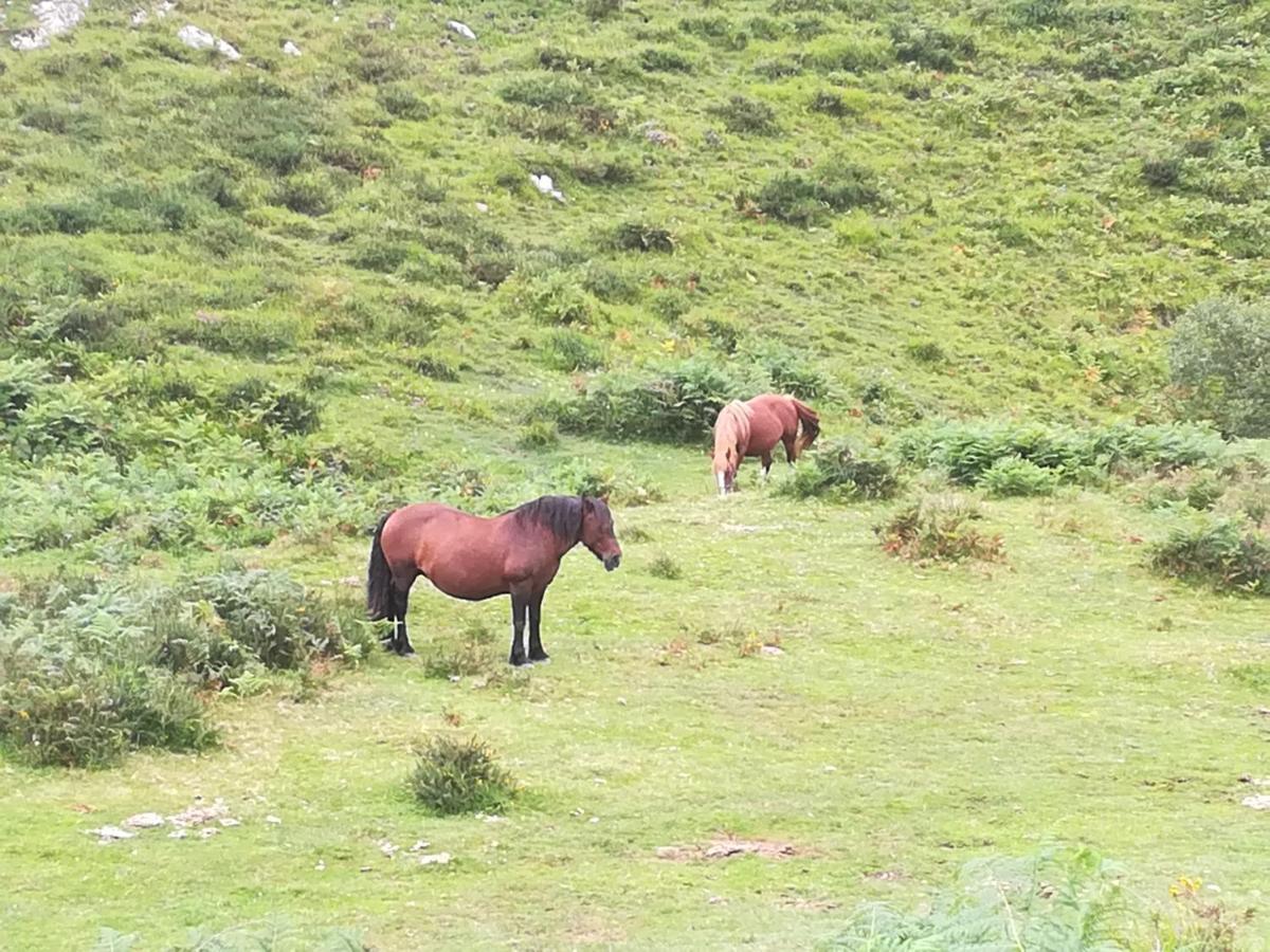 La Pasiega San Roque de Ríomiera Dış mekan fotoğraf
