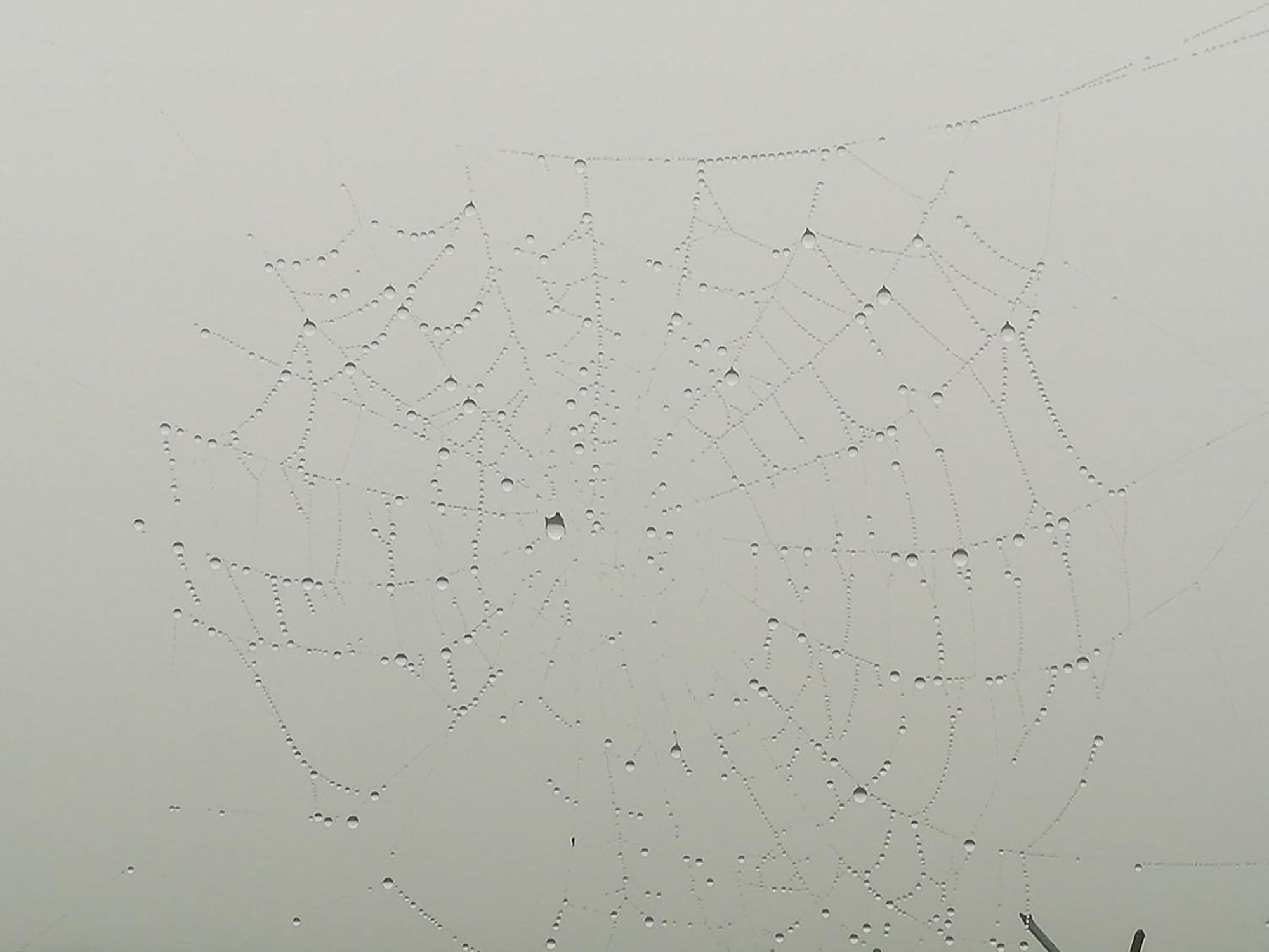 La Pasiega San Roque de Ríomiera Dış mekan fotoğraf