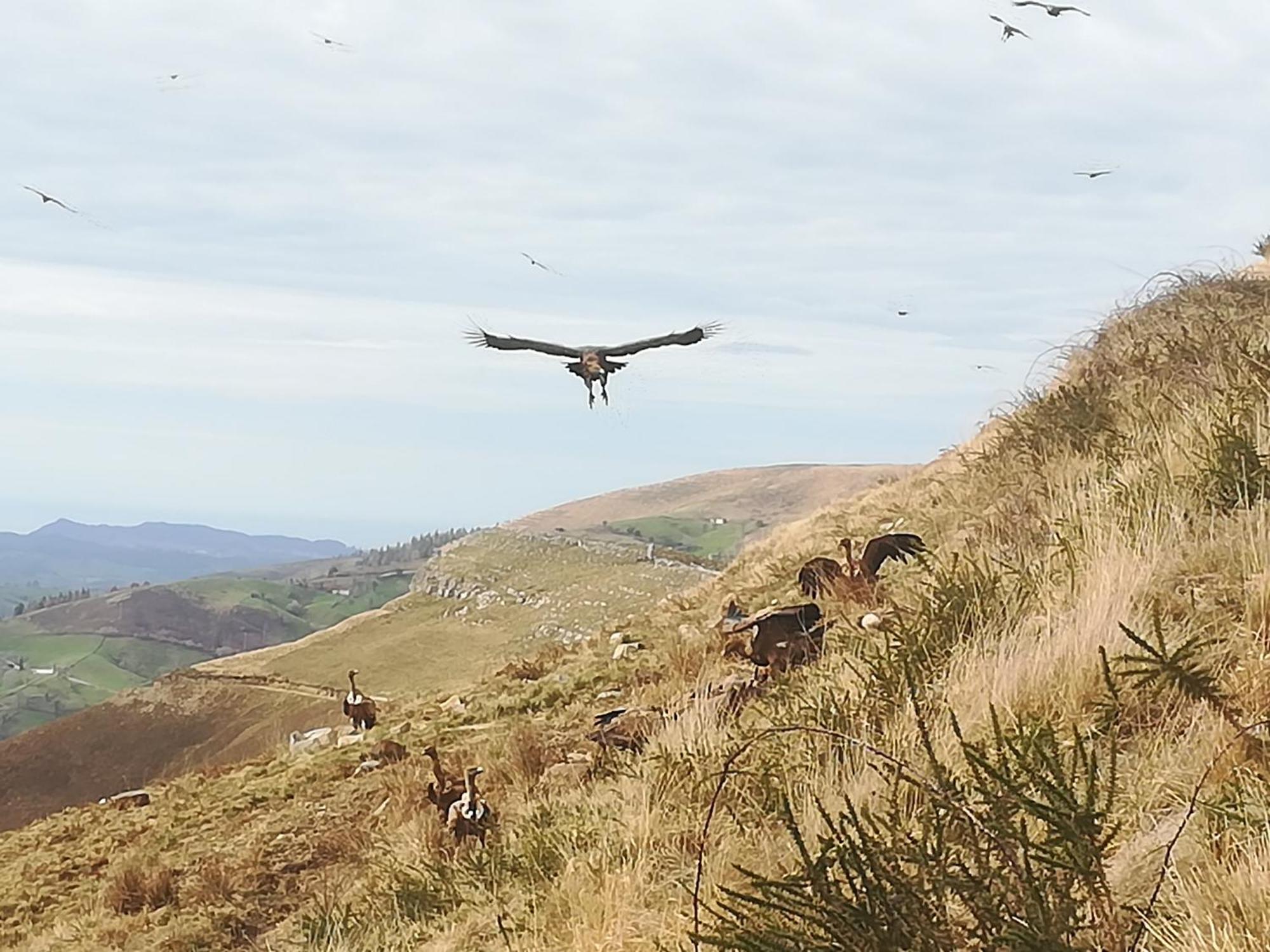 La Pasiega San Roque de Ríomiera Dış mekan fotoğraf