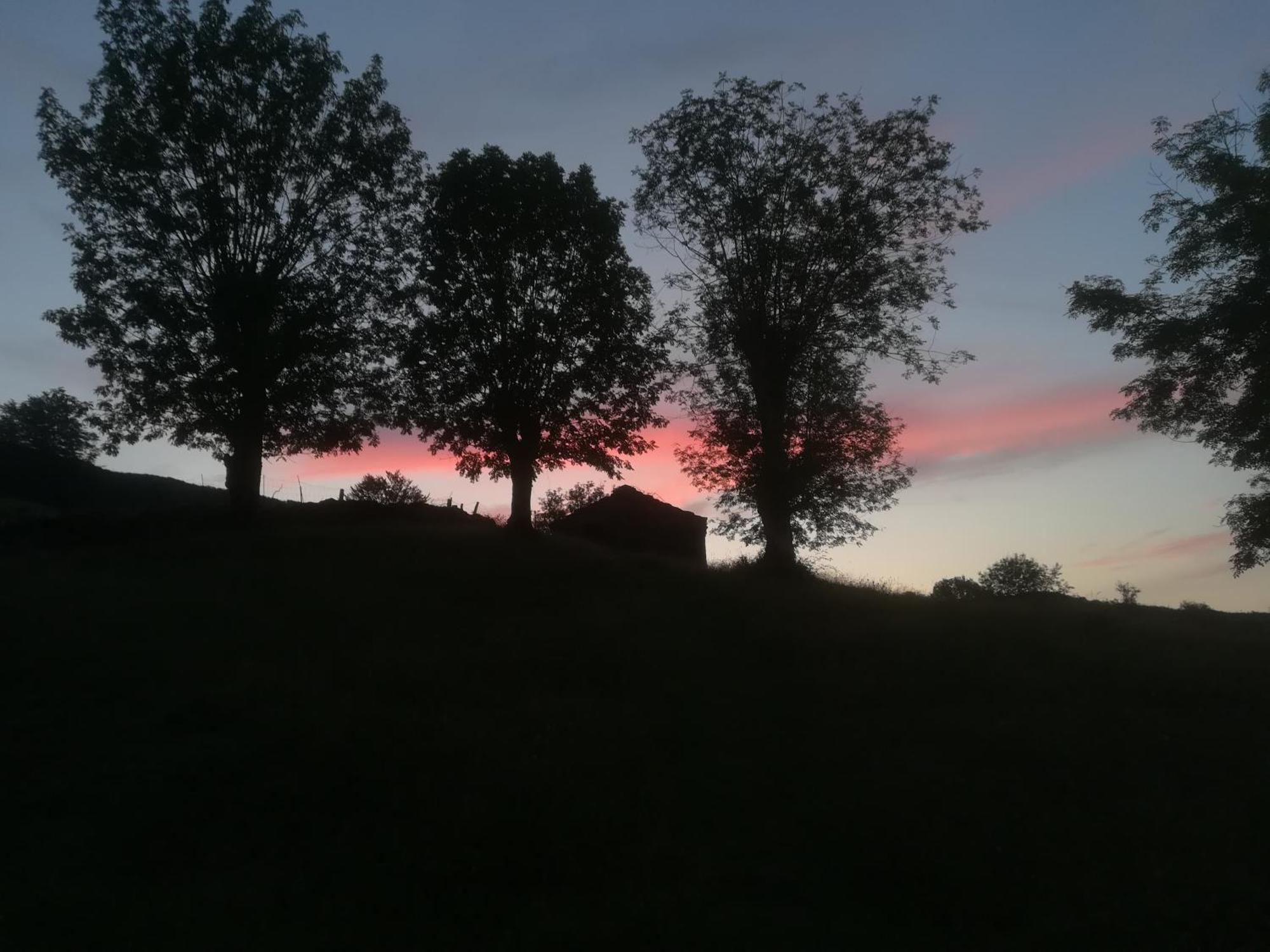 La Pasiega San Roque de Ríomiera Dış mekan fotoğraf